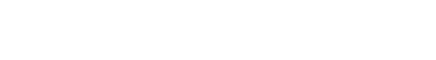 Bizrate Insights Logo White